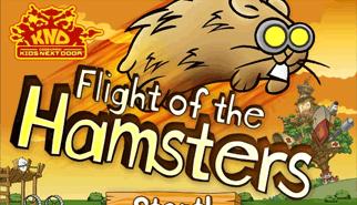 Flight Of The Hamster